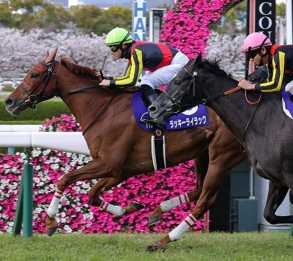 大阪杯2020レース回顧！ラッキーライラック完勝！ | 浅次郎の