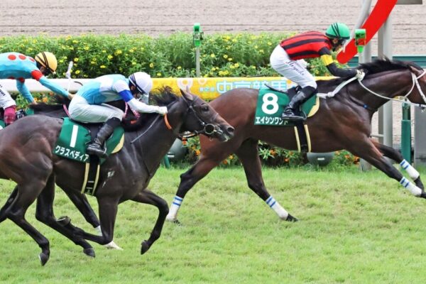 京王杯2歳S2024予想！穴馬クラスペディアから絞って勝負！