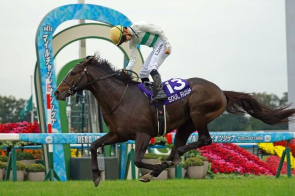 富士S2025予想！大穴狙いで逝くぜぇ！