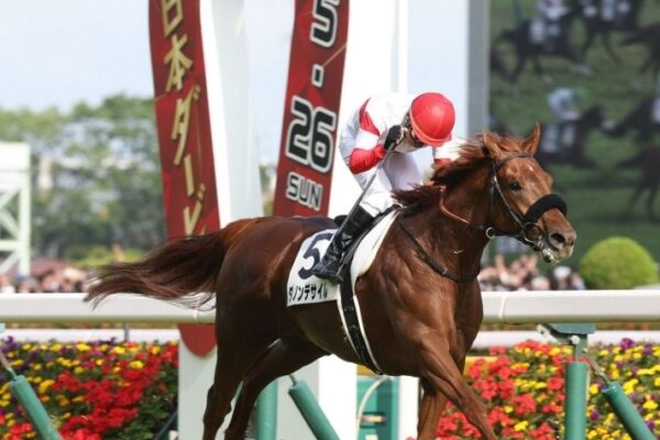 有馬記念2024調教チェック！特A評価・調教爆穴はこの馬だ！