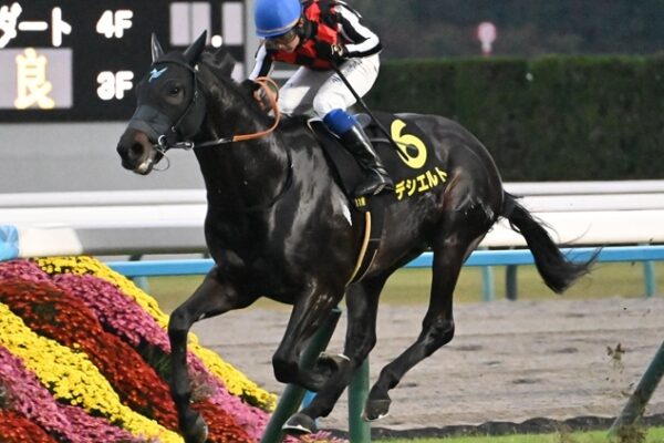 中日新聞杯2024データ分析！大穴はこの馬じゃい！