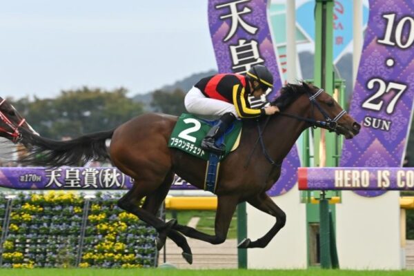 阪神JF2024データ分析！大穴はこの馬じゃい！