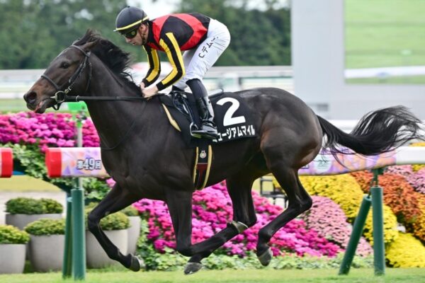 朝日杯フューチュリティS2024データ分析！大穴はこの馬じゃい！