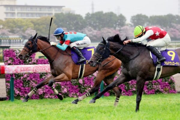 オークス2025データ分析！大穴はこの馬じゃい！