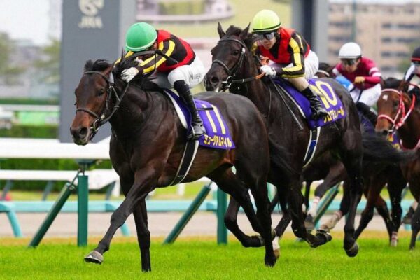 日本ダービー2025データ分析！大穴はこの馬じゃい！