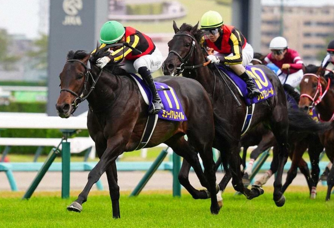 日本ダービー2025データ分析!大穴はこの馬じゃい!