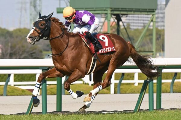 天皇賞春2025調教チェック！特A評価・調教爆穴はこの馬だ！