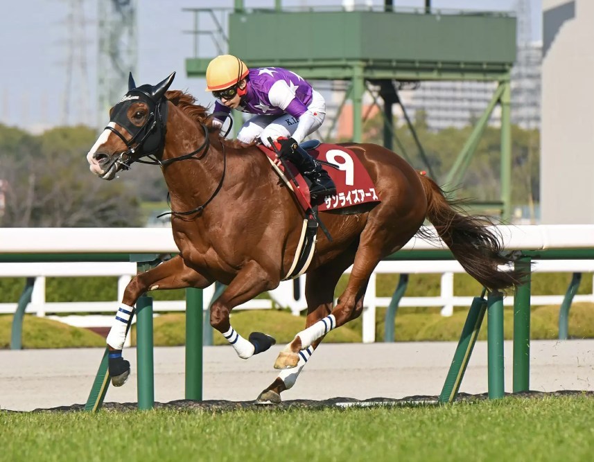 天皇賞春2025調教チェック!特A評価・調教爆穴はこの馬だ!