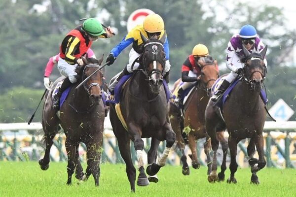 ローズS2025予想！大穴狙いで逝くぜぇ！