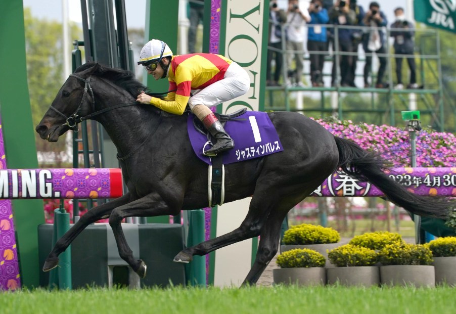 天皇賞春2025予想!大穴狙いで逝くぜぇ!