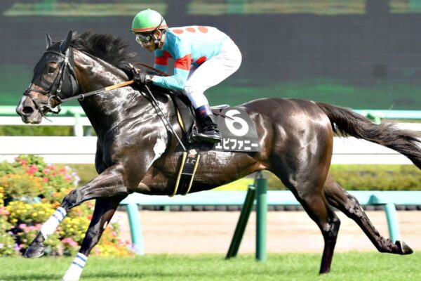 新潟大賞典2025データ分析！大穴はこの馬じゃい！