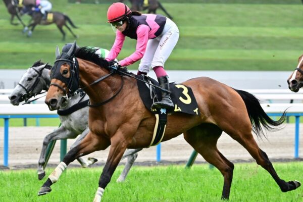 葵ステークス2025データ分析！大穴はこの馬じゃい！