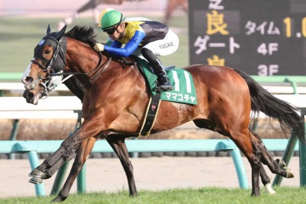 京王杯スプリングC2025予想！大穴狙いで逝くぜぇ！