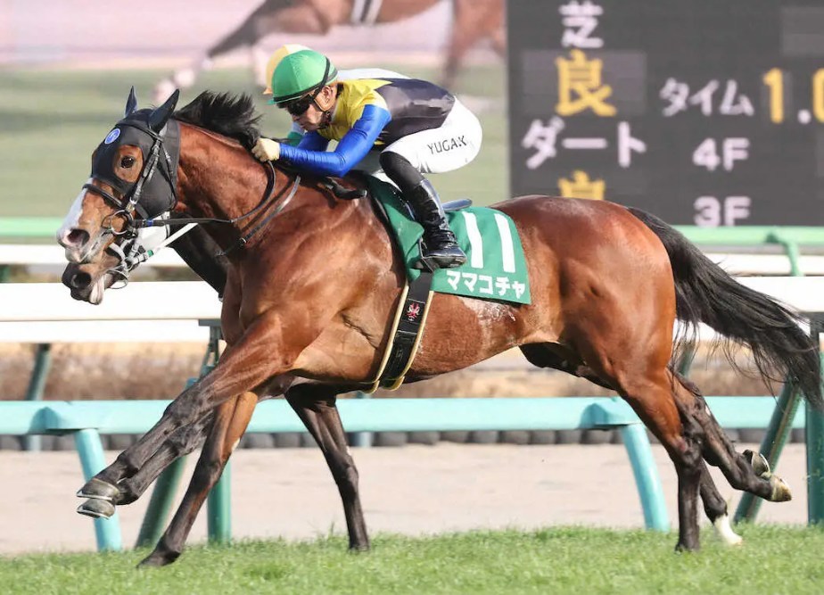 京王杯スプリングC2025予想!大穴狙いで逝くぜぇ!
