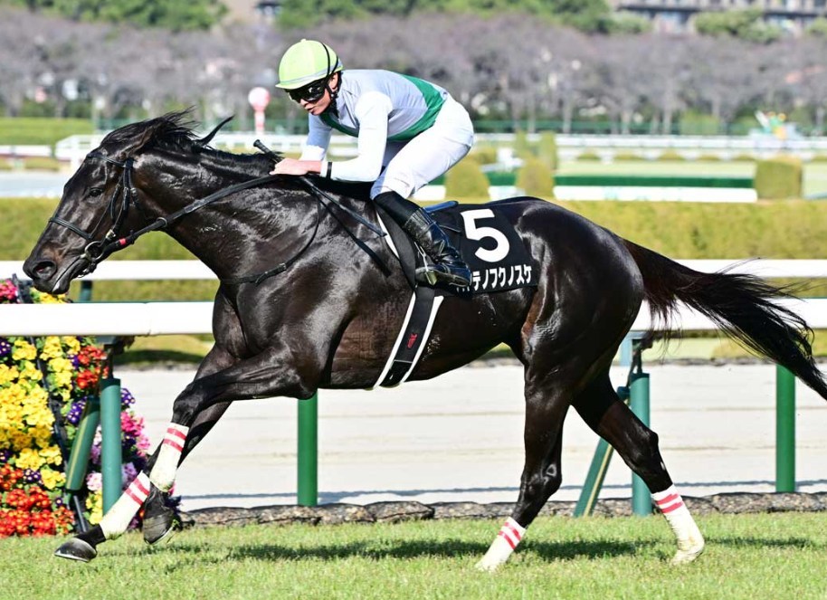 函館記念2025データ分析!大穴はこの馬じゃい!