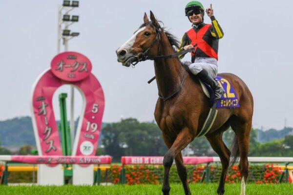 しらさぎS2025データ分析！大穴はこの馬じゃい！