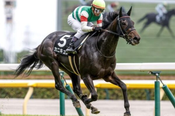 府中牝馬Ｓ2025データ分析！大穴はこの馬じゃい！