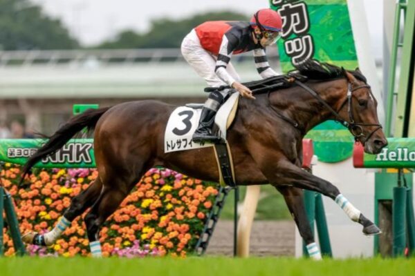 ラジオNIKKEI賞2025データ分析！大穴はこの馬じゃい！