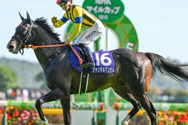 安田記念2025調教チェック！特A評価、調教爆穴はこの馬だ！