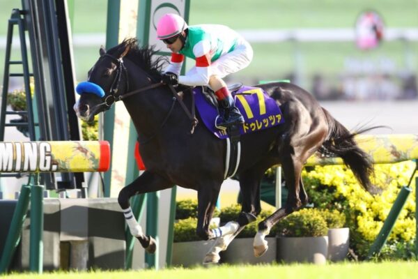 宝塚記念2025予想！大穴狙いで逝くぜぇ！