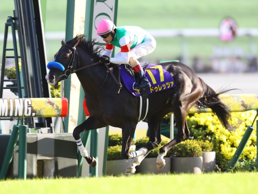 宝塚記念2025予想!大穴狙いで逝くぜぇ!