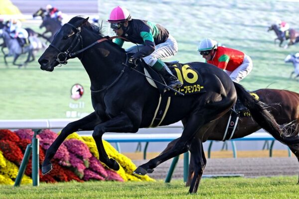 小倉記念2025予想！大穴狙いで逝くぜぇ！