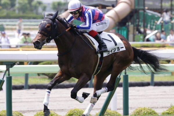 函館2歳S2025データ分析！大穴はこの馬じゃい！