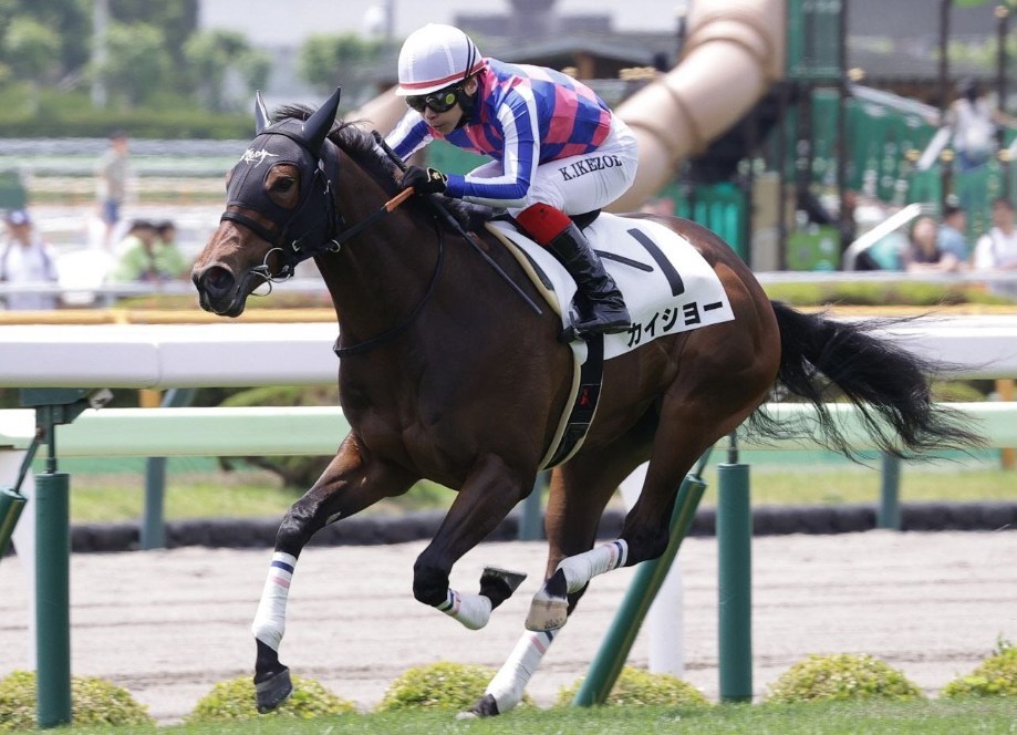 函館2歳S2025データ分析!大穴はこの馬じゃい!
