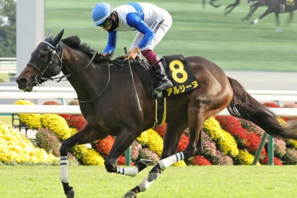 クイーンS2025データ分析！大穴はこの馬じゃい！