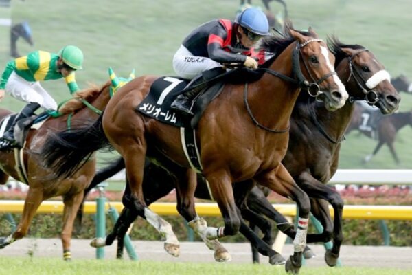 小倉記念2025データ分析！大穴はこの馬じゃい！