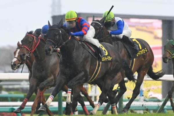 北九州記念2025予想！大穴狙いで逝くぜぇ！