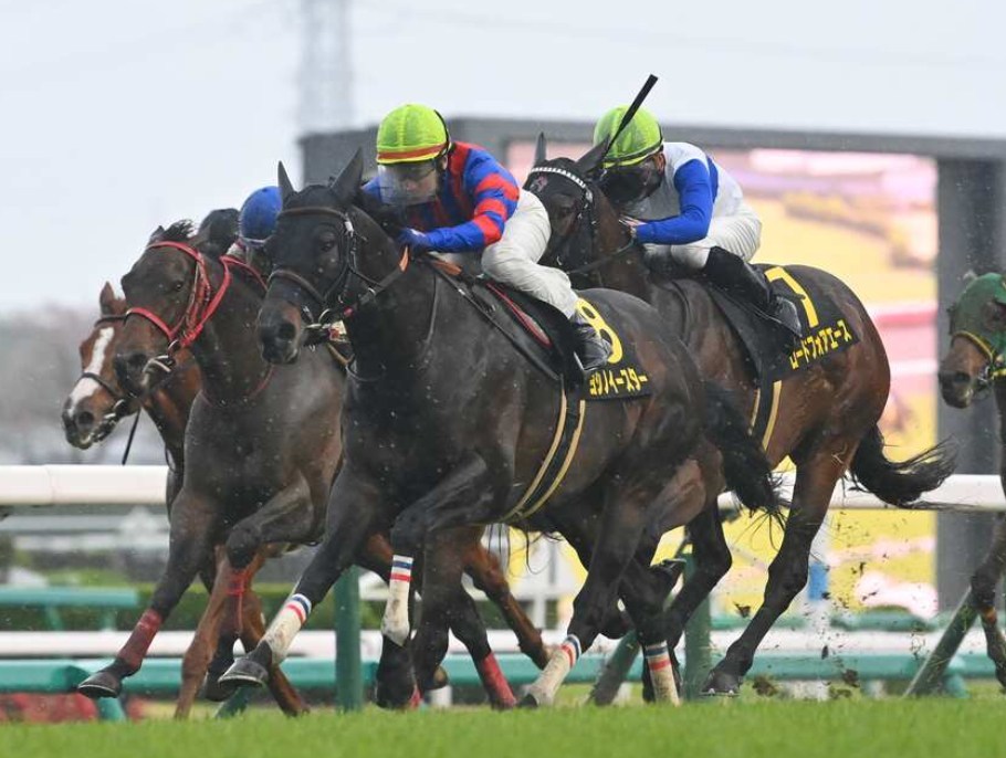 北九州記念2025予想!大穴狙いで逝くぜぇ!