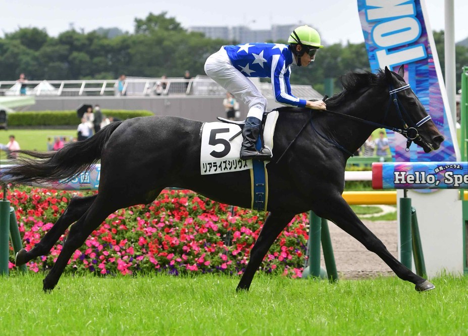 新潟2歳S2025データ分析！大穴はこの馬じゃい！