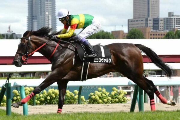 中京記念2025データ分析！大穴はこの馬じゃい！