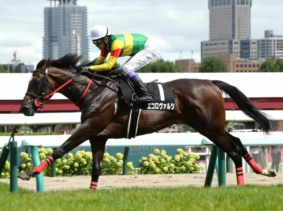中京記念2025データ分析!大穴はこの馬じゃい!