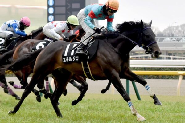 新潟記念2025データ分析！大穴はこの馬じゃい！