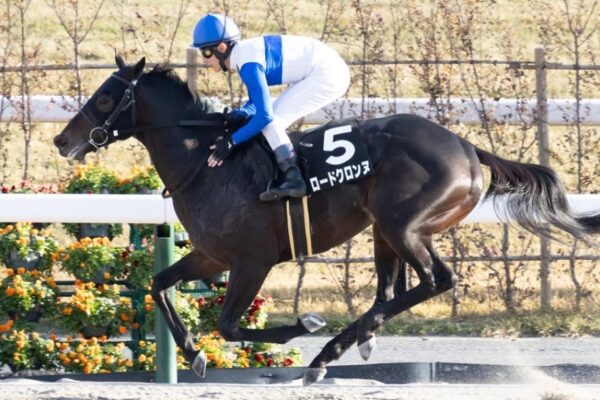 エルムS2025データ分析！大穴はこの馬じゃい！