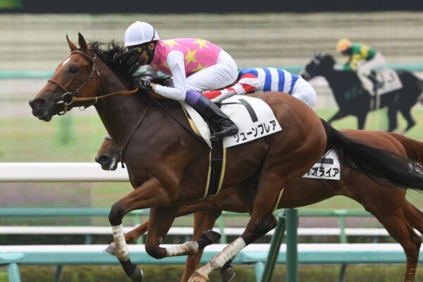 CBC賞2025データ分析！大穴はこの馬じゃい！