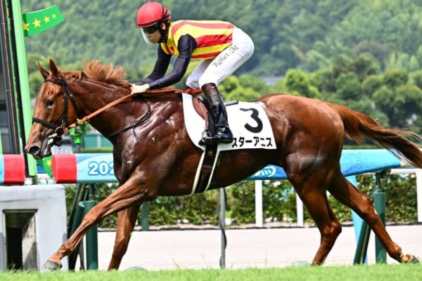 中京2歳S2025データ分析！大穴はこの馬じゃい！