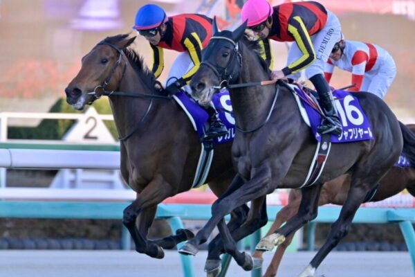 オールカマー2025データ分析！大穴はこの馬じゃい！