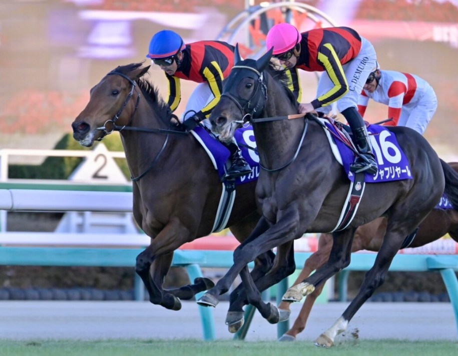 オールカマー2025データ分析！大穴はこの馬じゃい！