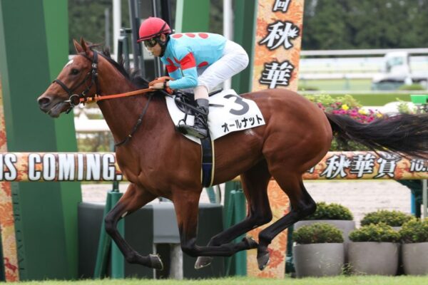 チャレンジC2025予想！大穴狙いで逝くぜぇ！