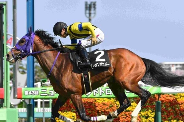 セントライト記念2025予想！大穴ビーオンザカバーを狙う。
