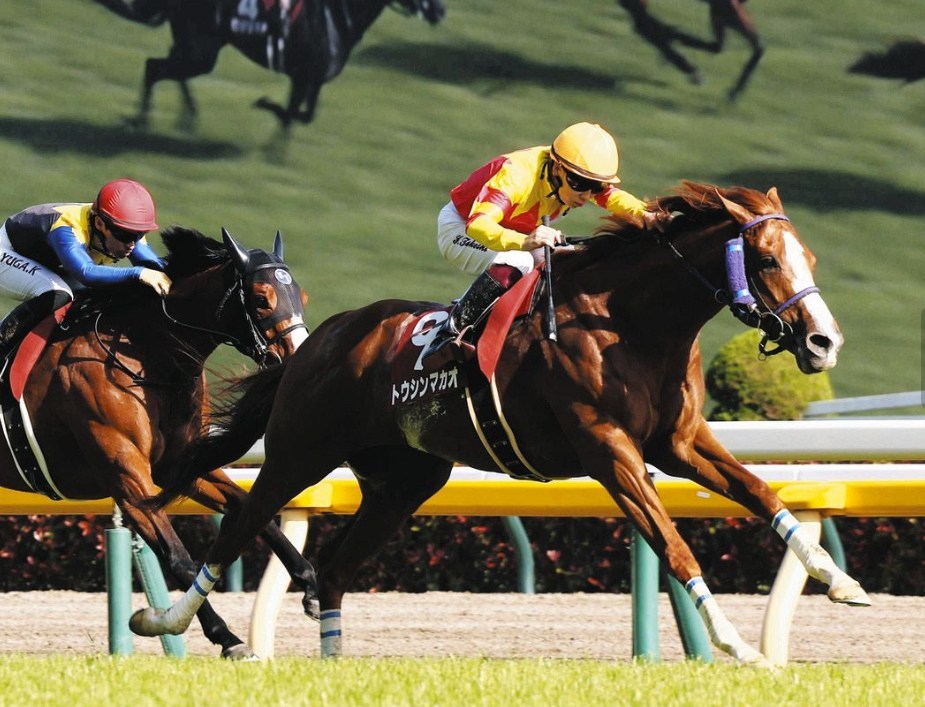 セントウルS2025データ分析!大穴はこの馬じゃい!