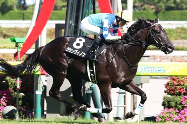 チャレンジC2025データ分析！大穴はこの馬じゃい！