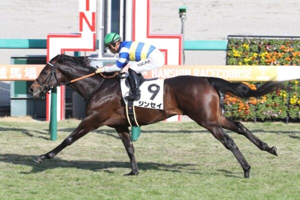 シリウスS2025予想！ヒモ荒れ万馬券狙いで逝く！