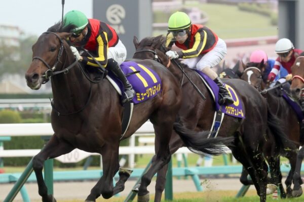 セントライト記念2025データ分析！大穴はこの馬じゃい！
