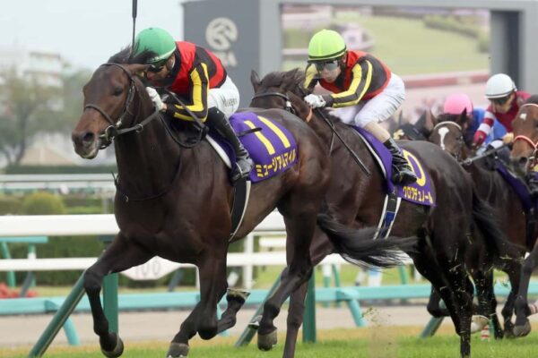 天皇賞秋2025調教チェック！調教爆穴・イマイチ馬はこの馬だ！