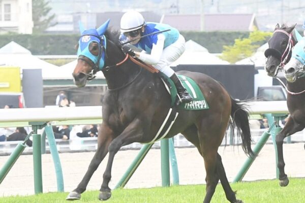 アイルランドトロフィー2025データ分析！大穴はこの馬じゃい！