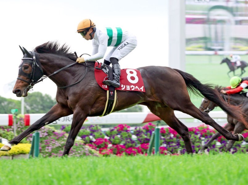 菊花賞2025調教チェック!特A評価・調教爆穴はこの馬だ!